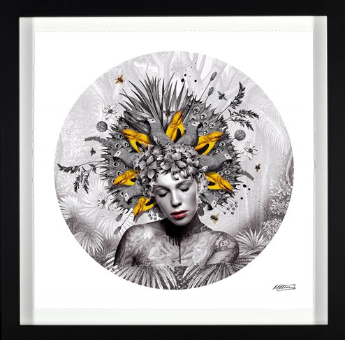 Awakening by Matt Herring - Framed Limited Edition on Paper